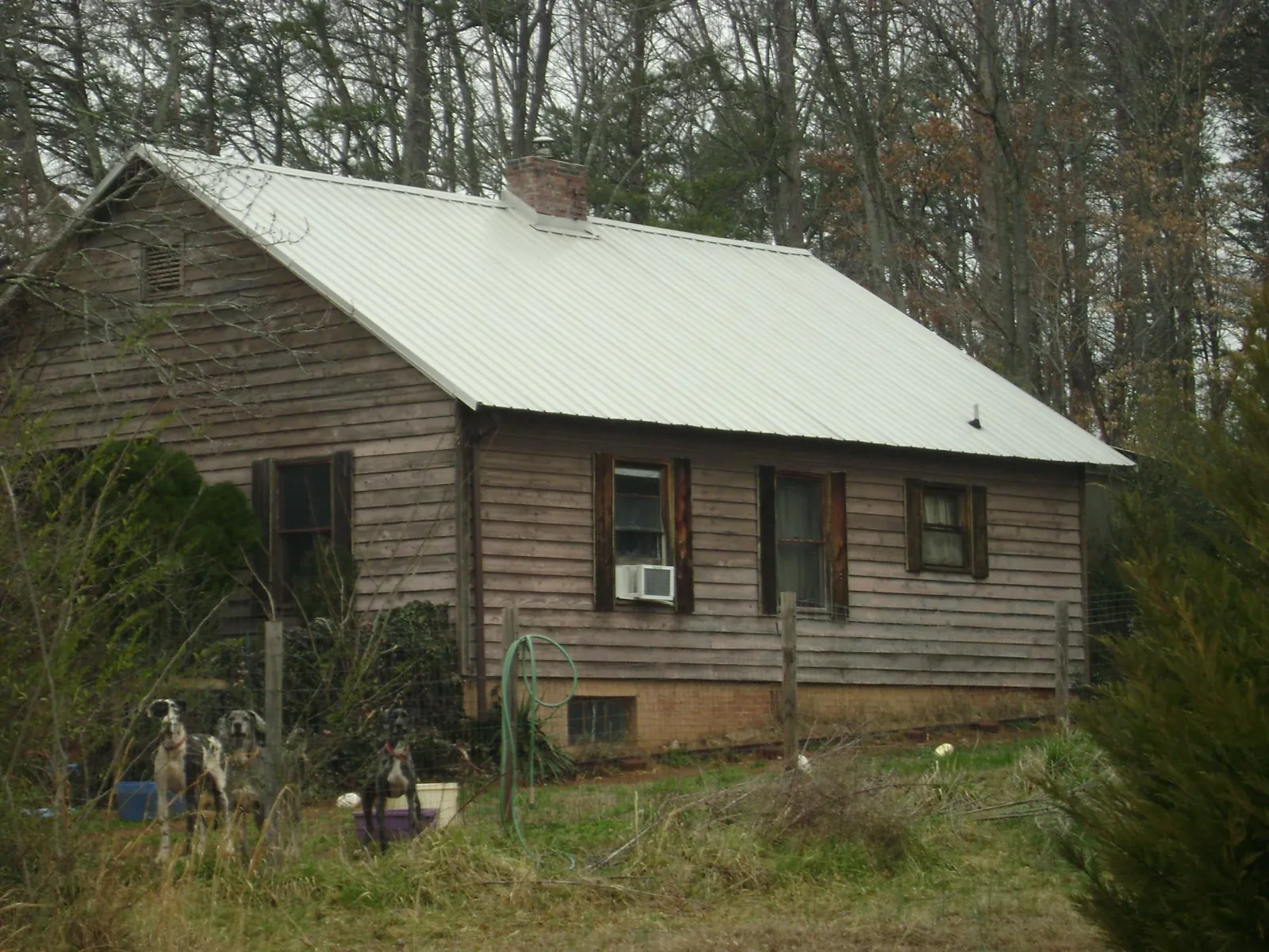 White metal roof on an old wood sided farmhouse, from a Asphalt Shingle Roof Repair job in Maurice